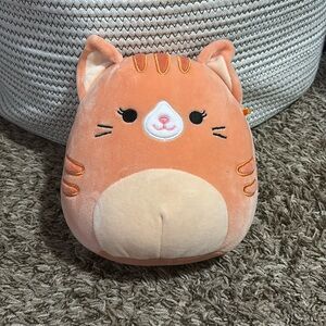 Gigi the Orange Cat Squishmallow!
